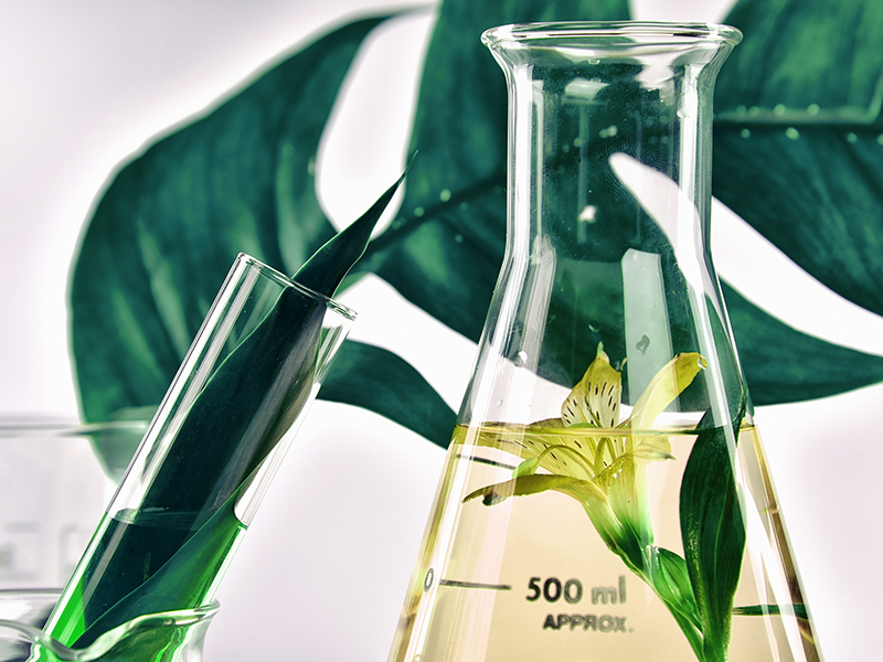 Lab beakers and test tubes with plants, leaves and flowers