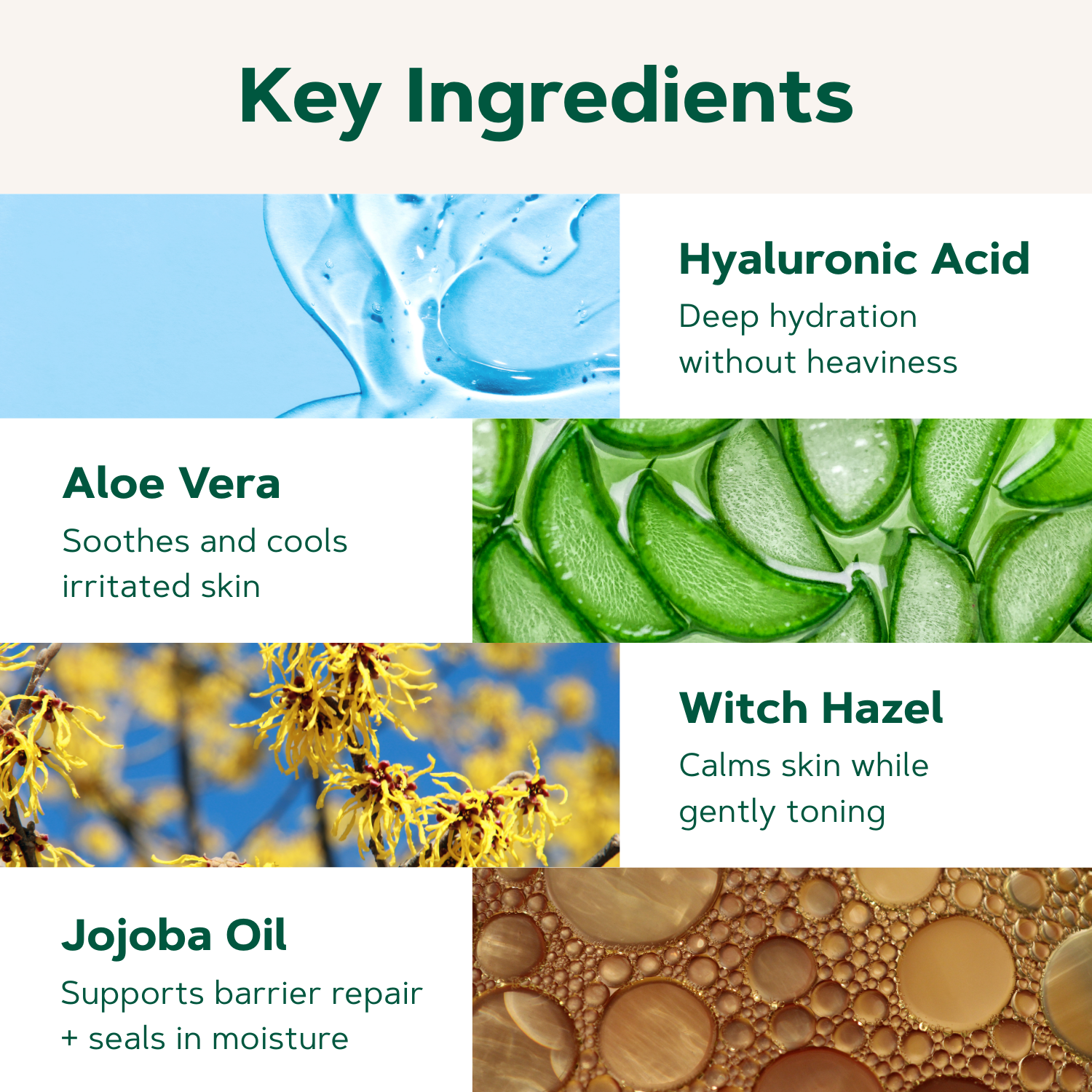 List of key ingredients with corresponding images and descriptions on a beige background