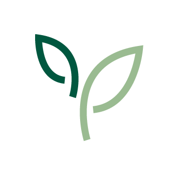 Leaves blooming from a stem